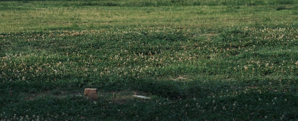 houston truck accident lawyers