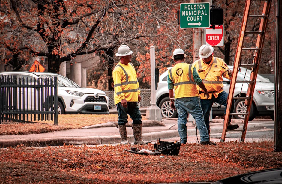 probate court houston texas