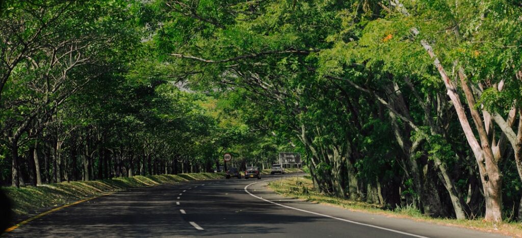 Accident attorney The Woodlands