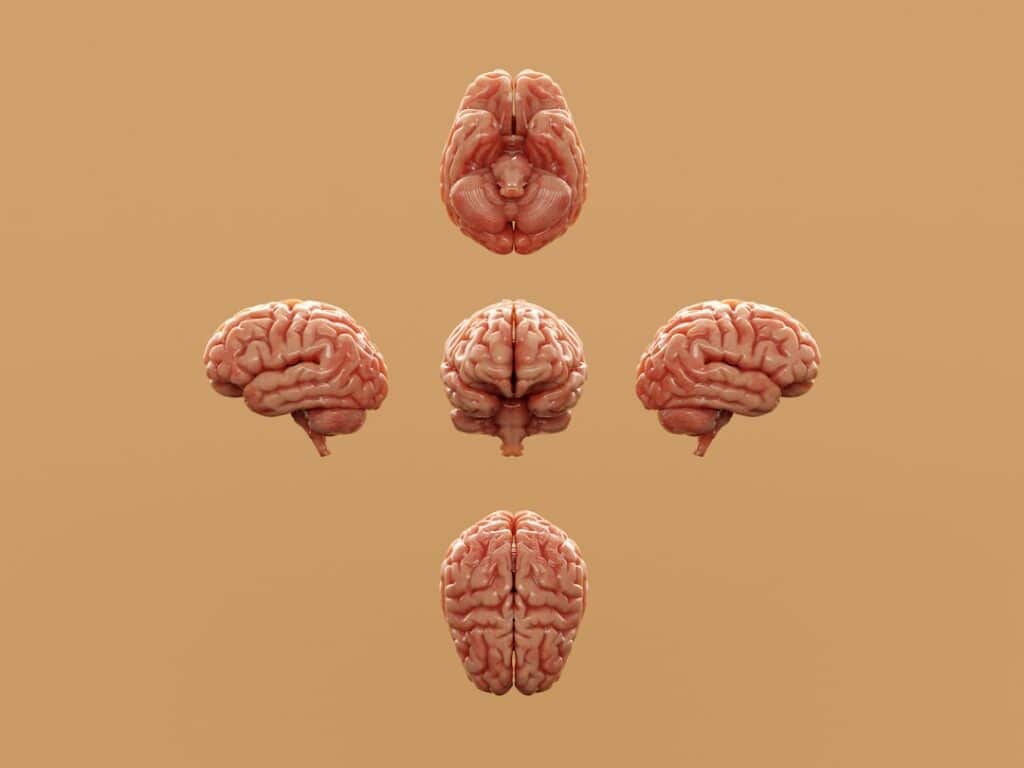 Brain injury attorney Pasadena