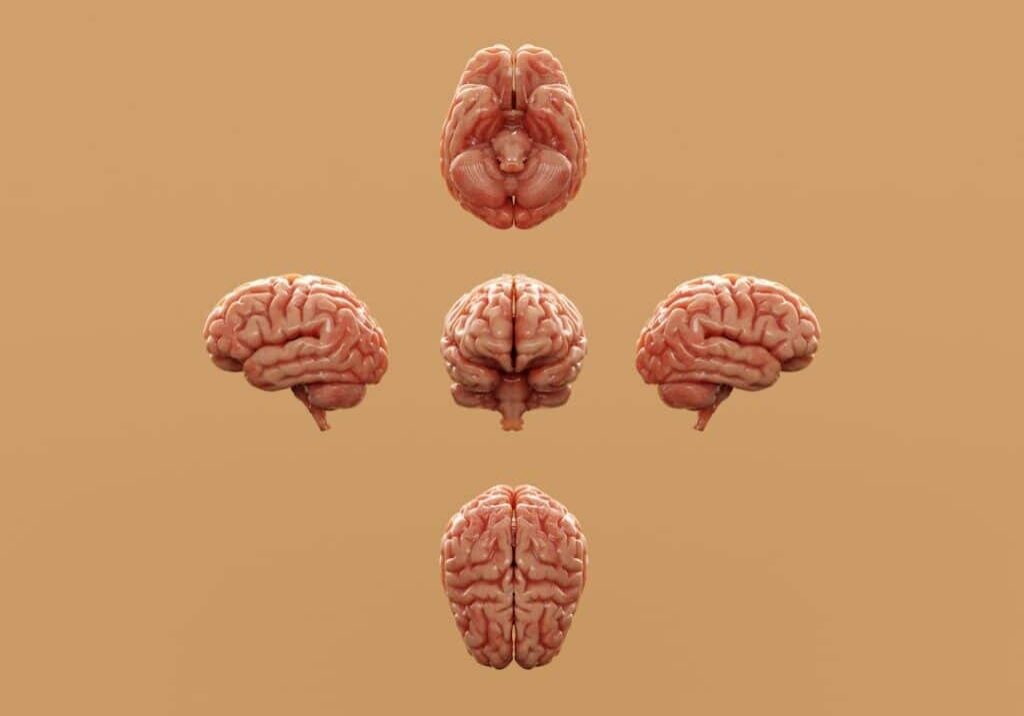 Brain injury attorney Pasadena