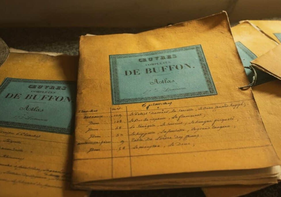 search public records