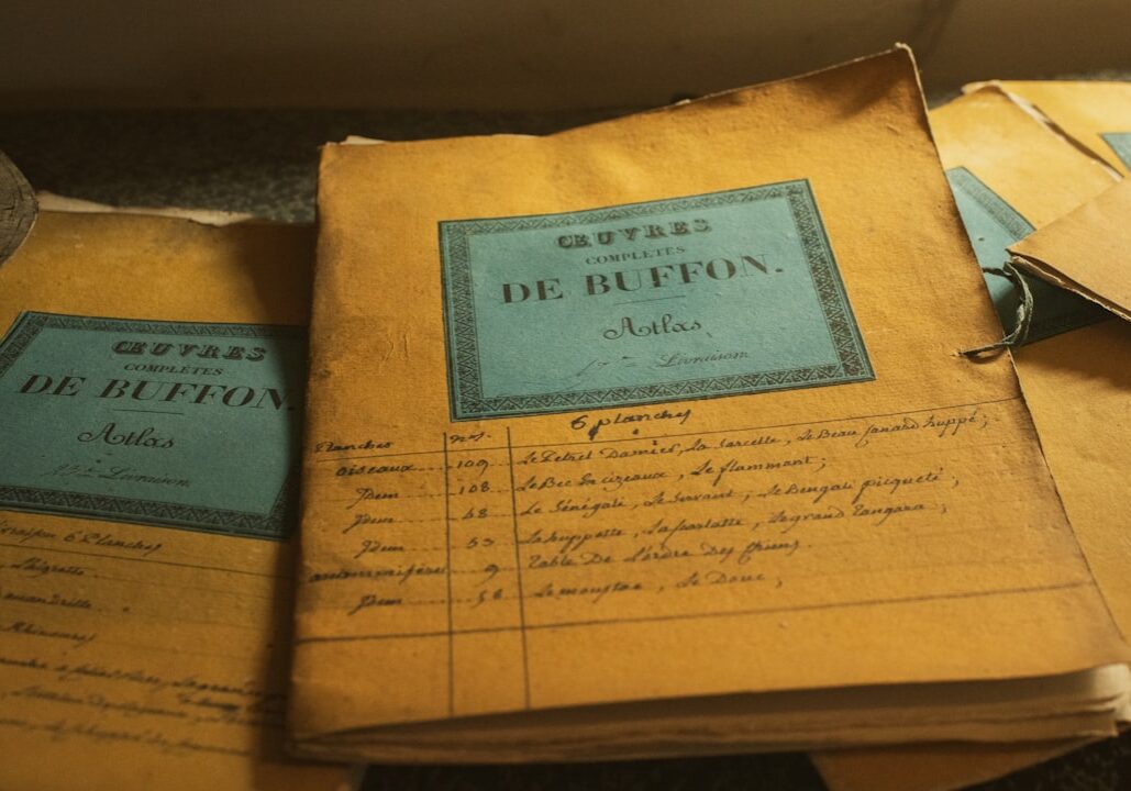 search public records