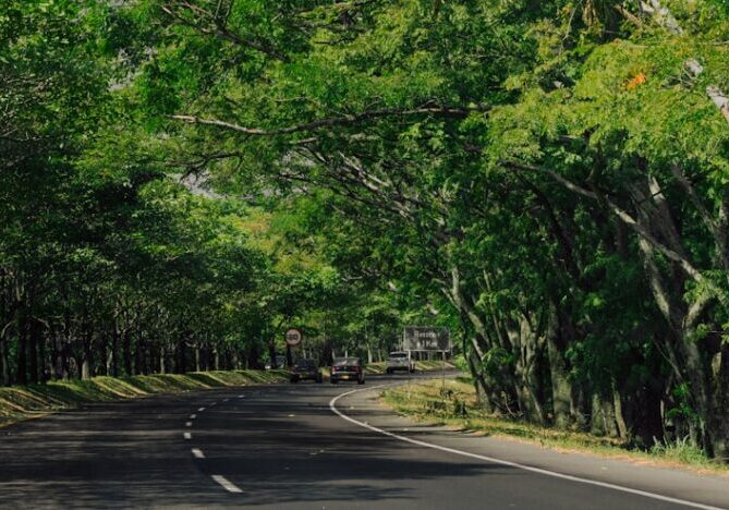 Accident attorney The Woodlands